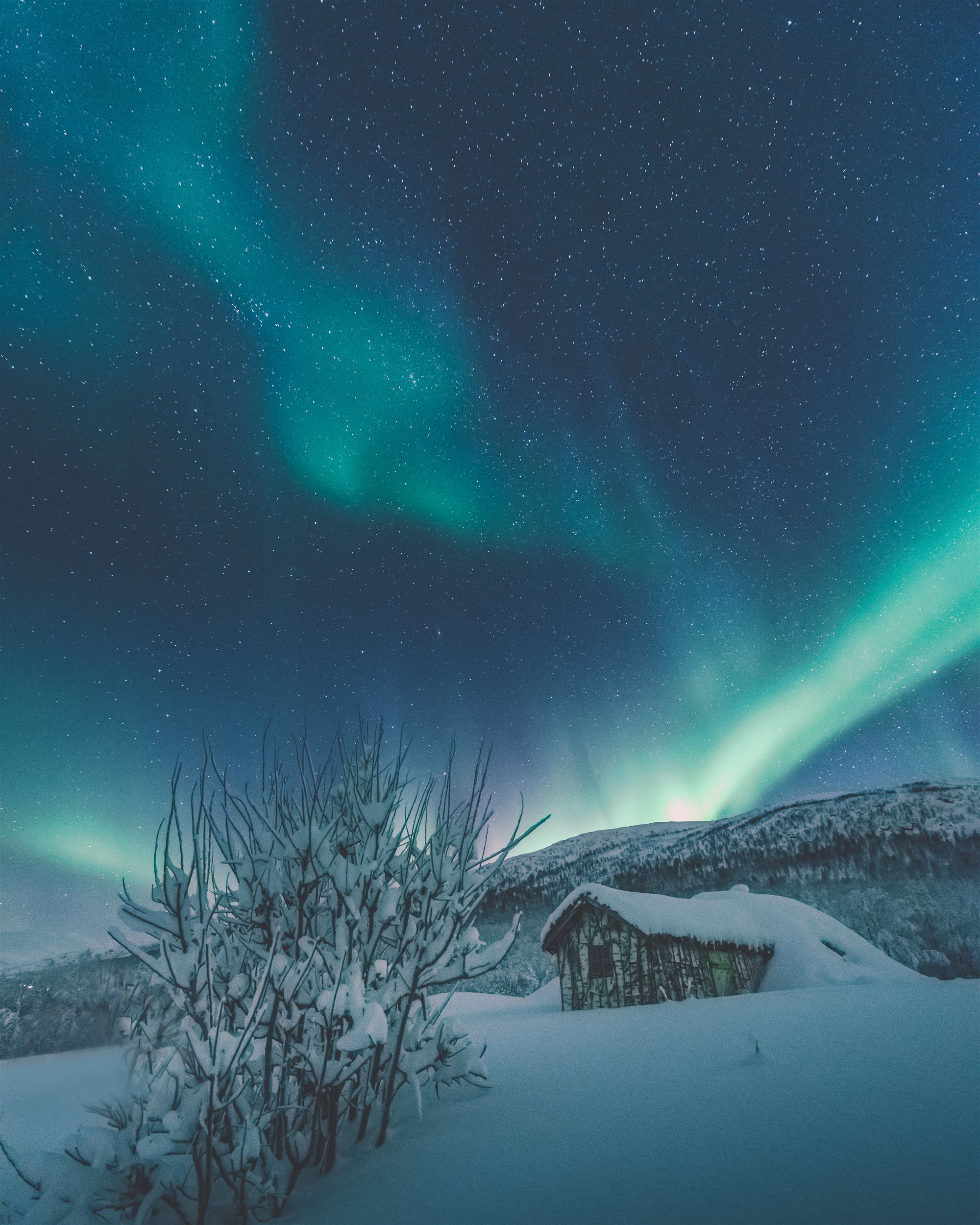 Nordlys i grønt og turkis over en snødekt hytte i Nord-Norge